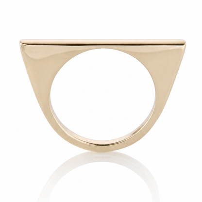 Total Knockout Ring